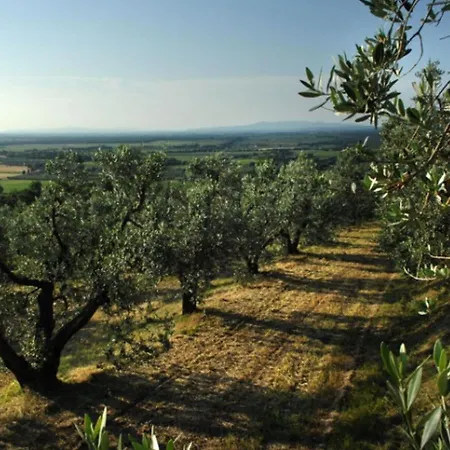Belvilla By Oyo Peaceful With Garden * Castagneto Carducci