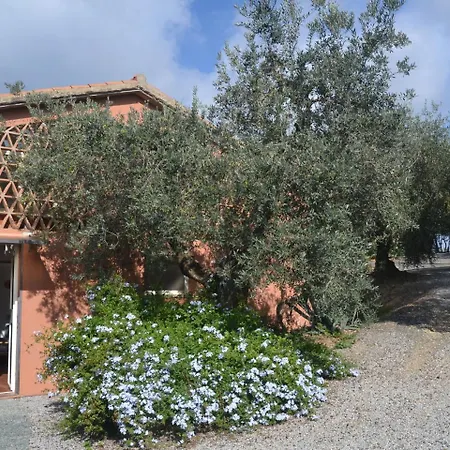 Belvilla By Oyo Peaceful With Garden Σπίτι διακοπών Castagneto Carducci