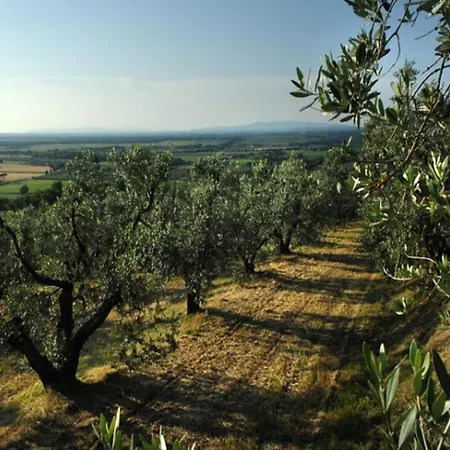 Σπίτι διακοπών Charming Tuscan Wi-fi *