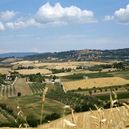 Charming Tuscan Wi-fi Castagneto Carducci