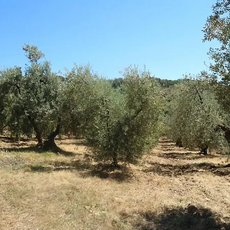 Σπίτι διακοπών Charming Tuscan Wi-fi *