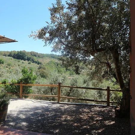 Charming Tuscan Wi-fi Σπίτι διακοπών *