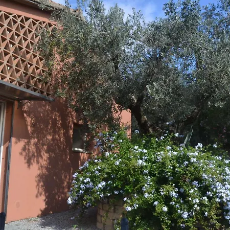Nyaraló Belvilla By Oyo Peaceful With Garden Castagneto Carducci