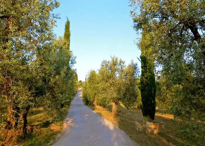 Charming Tuscan Wi-fi *