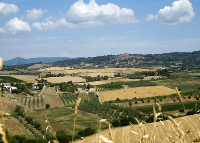Charming Tuscan Wi-fi Castagneto Carducci
